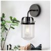 1-Light Wall Lamp with Clear Glass Shade, Modern Wall Sconce, Industrial Indoor Wall Light Fixture for Bathroom Living Room Bedroom Over Kitchen Sink,