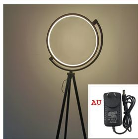 Danish Designer Art Floor Lamp Exhibition Hall Light (Option: Black warm light-AU)