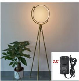 Danish Designer Art Floor Lamp Exhibition Hall Light (Option: Golden warm light-AU)