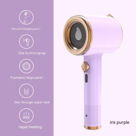 Mini Portable Handheld Garment Steamer Fabric Steam Iron For Clothes Travel Home Appliances Vertical US Plug Ironing Machine (Option: Light Purple-Au-1PCS)