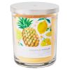 Perfect Present Indoor/Outdoor Home Decor 3-Wick 16 oz Jar Candle